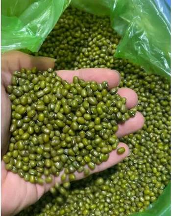 Đậu Xanh Hạt Tiêu